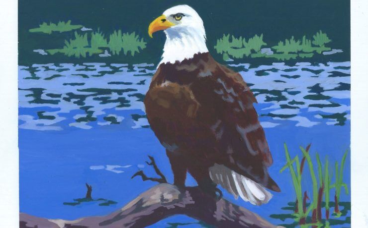 EagleScan-740x460.jpg